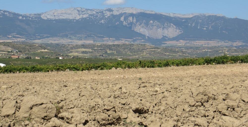 Clay Soil at Vineyard in Rioja, Spain
